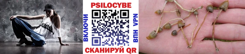 сколько стоит  Белогорск  Псилоцибиновые грибы мицелий 